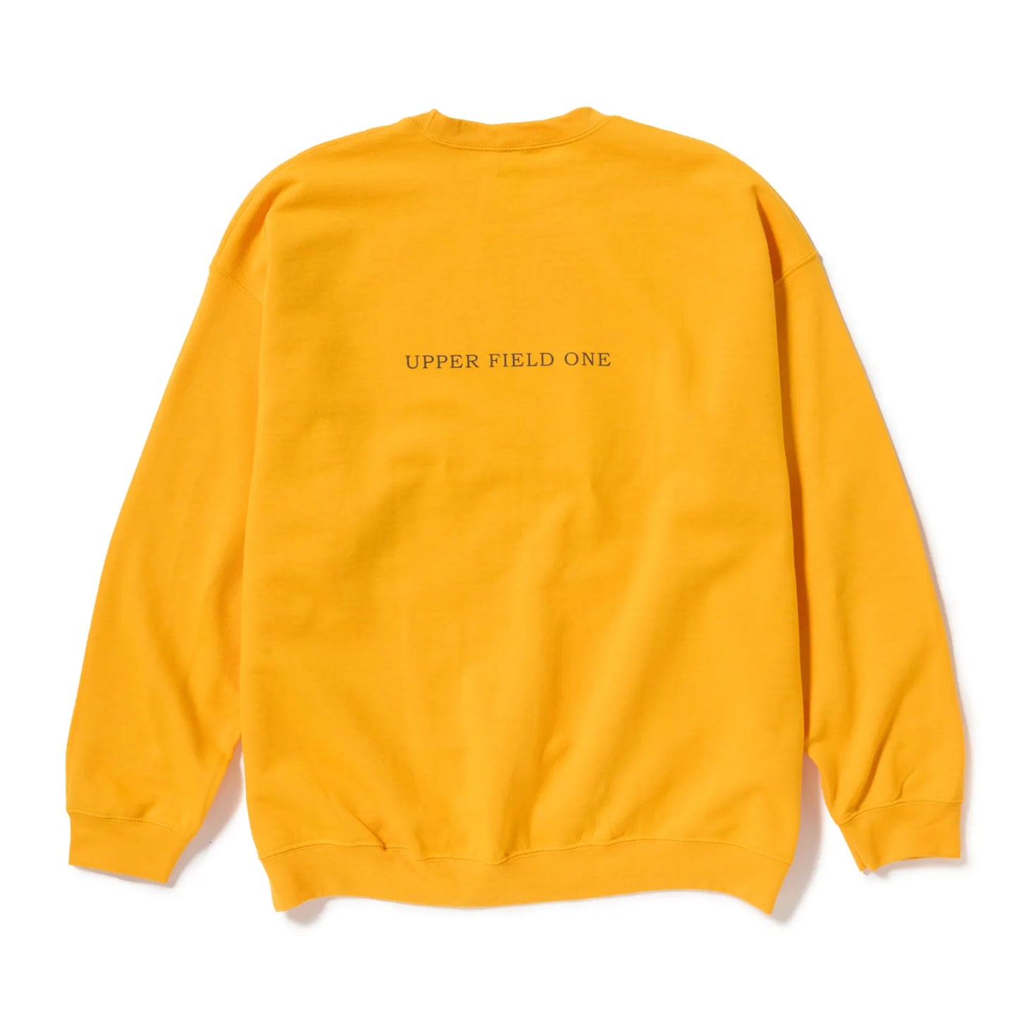 UFO ANKYLO CREWNECK SWEATSHIRT